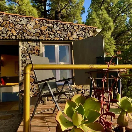 Semesterbostad Tiny House Vogelnest *