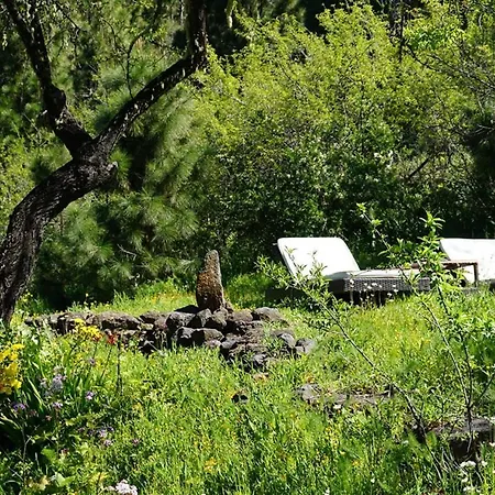 Tiny House Vogelnest Semesterbostad Puntagorda
