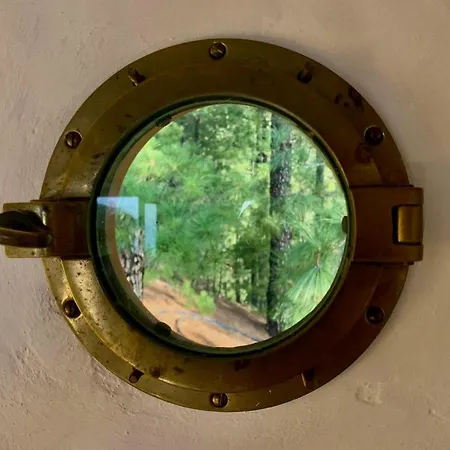 Tiny House Vogelnest