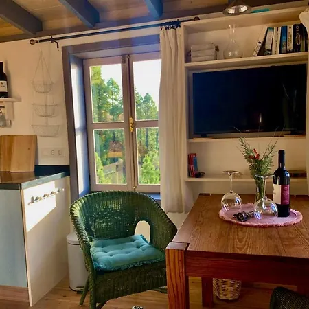Semesterbostad Tiny House Vogelnest *